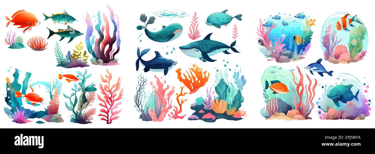 set vector sealife fish watercolor illustration isolated on white background Stock Vector Image ...
