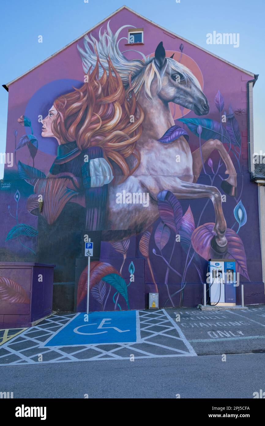 Ireland, County Wexford, New Ross, mural by Dutch artist Nina Valkhoff showing a Norman warrior woman and her horse towering 50 metres high above an e Stock Photo