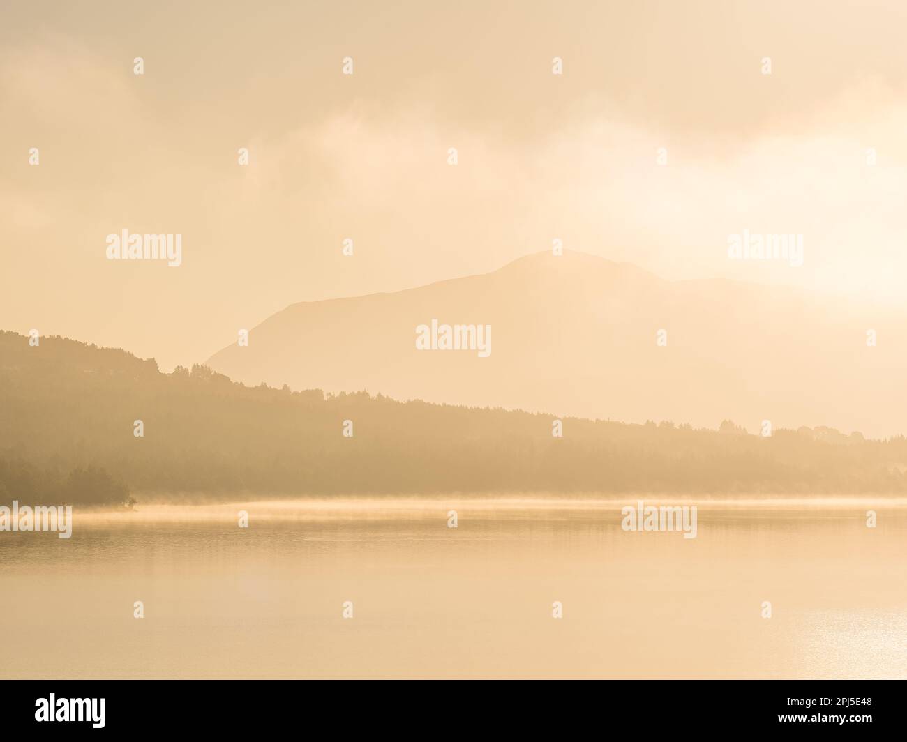 A tranquil morning scene of a misty lake reflecting the sunlit ...
