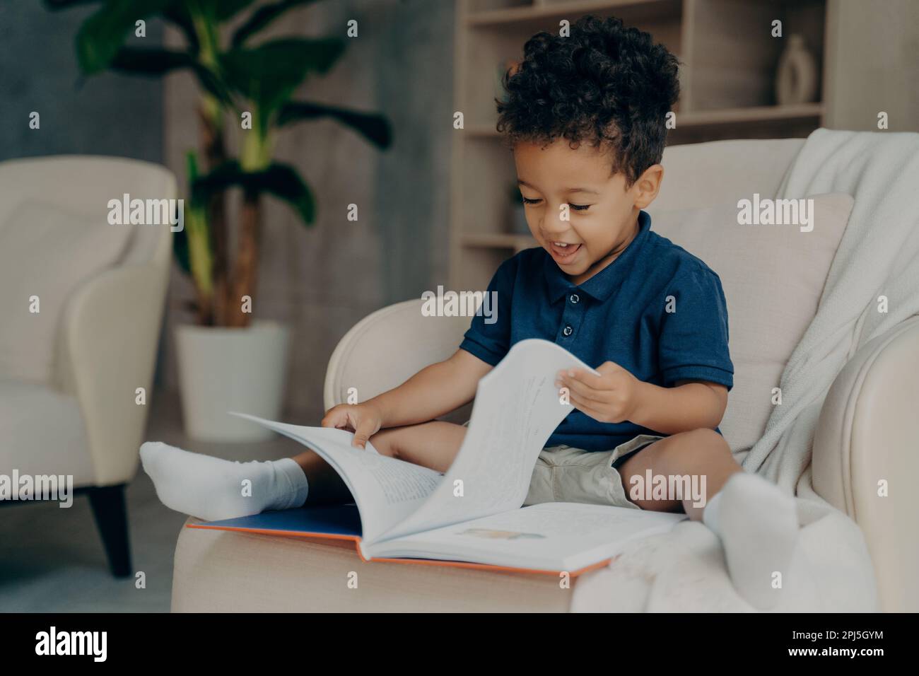 Happy mixed race little kid boy with cute curly hair reading story book while sitting in cozy armchair in light colored living room at home, child spe Stock Photo