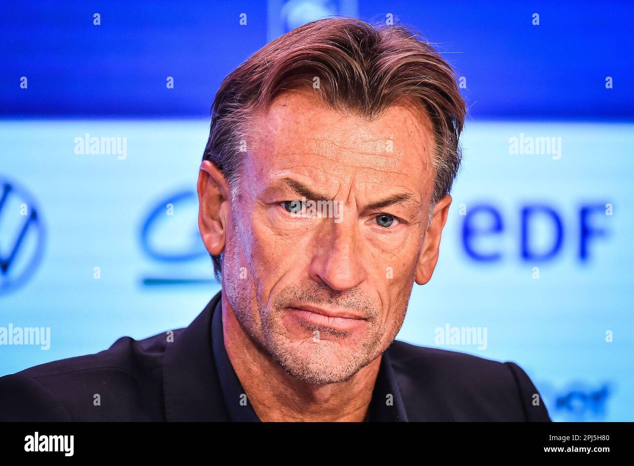 Herve renard hi-res stock photography and images - Page 4 - Alamy