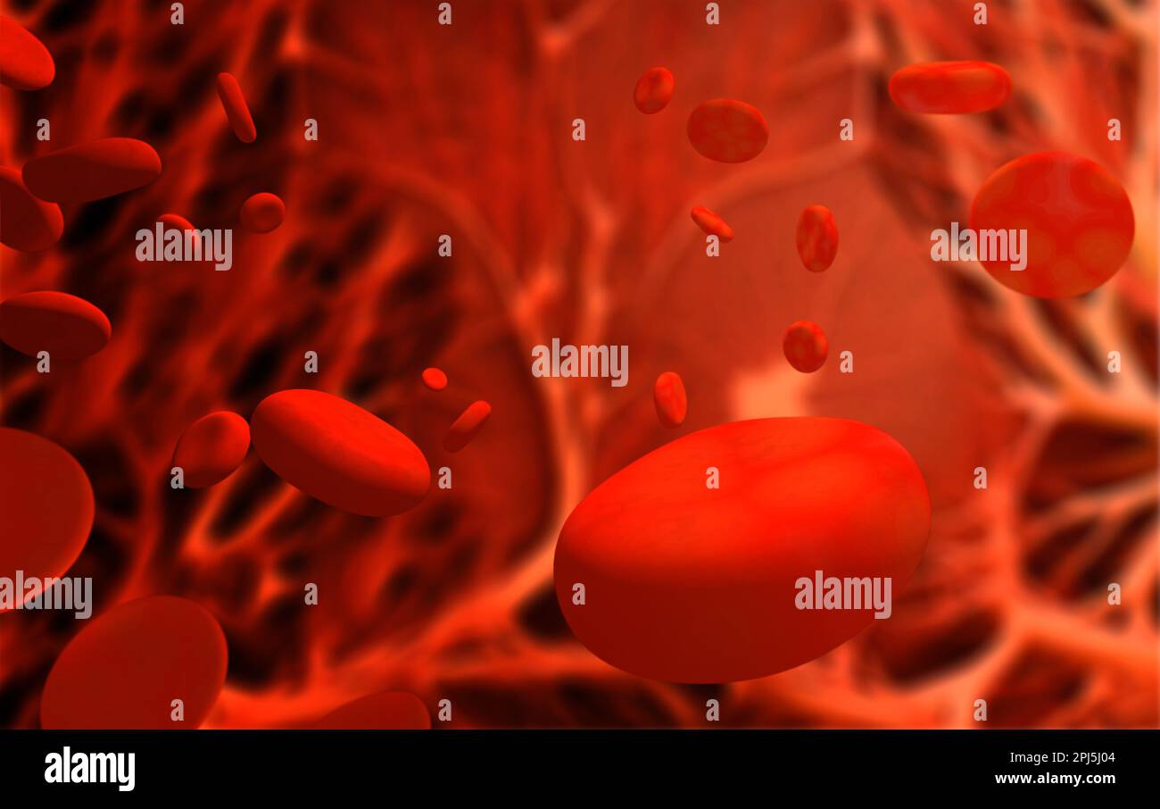 Many red erythrocytes in an artery. Horizontal background with red eritrosit in blood stream. Red blood cells circulating in blood vessels. 3d render Stock Photo