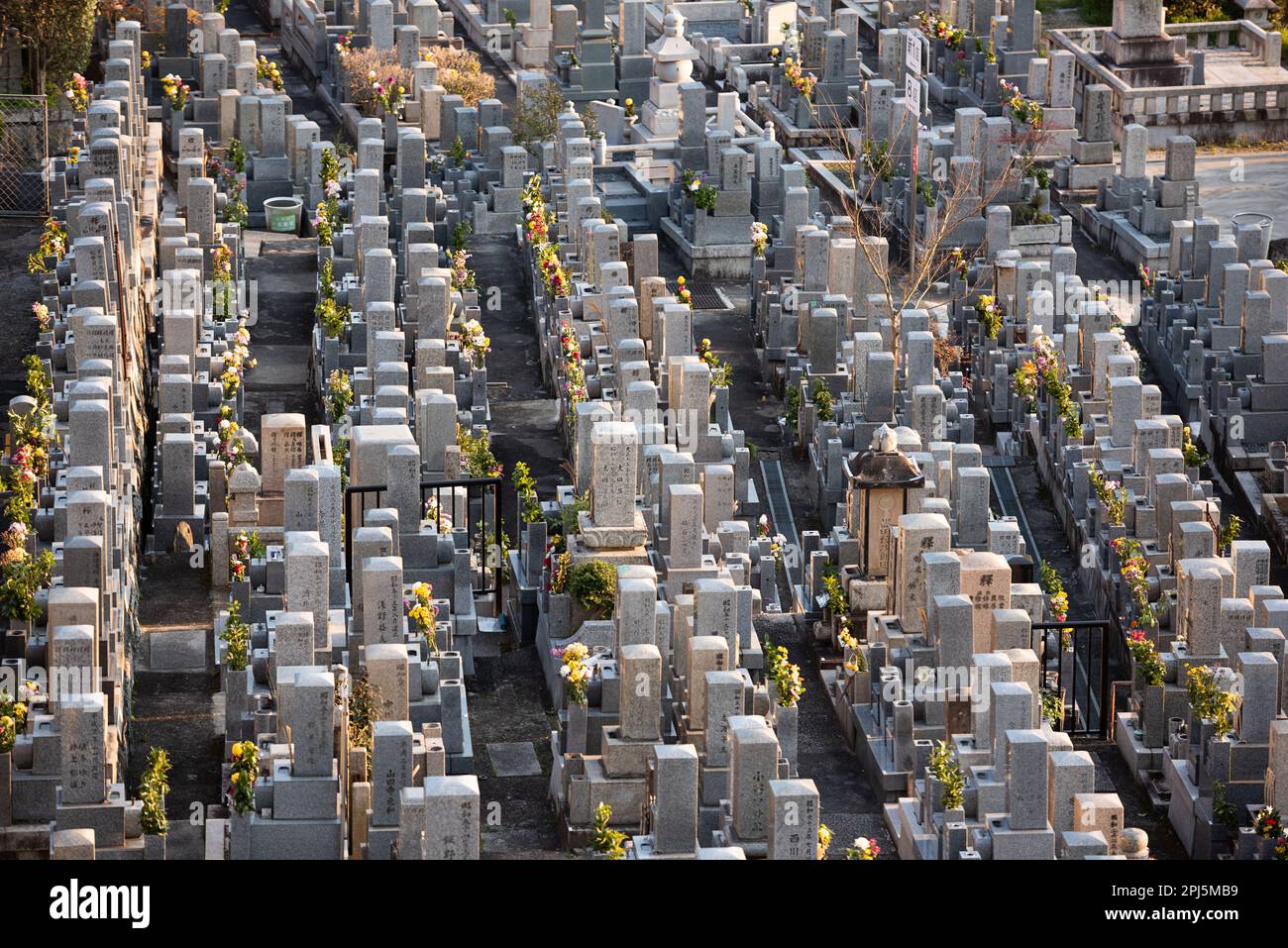 KYOTO, JAPAN - APRIL 2, 2017:  Markers at Higashi Otani Cemetery historic site. Stock Photo