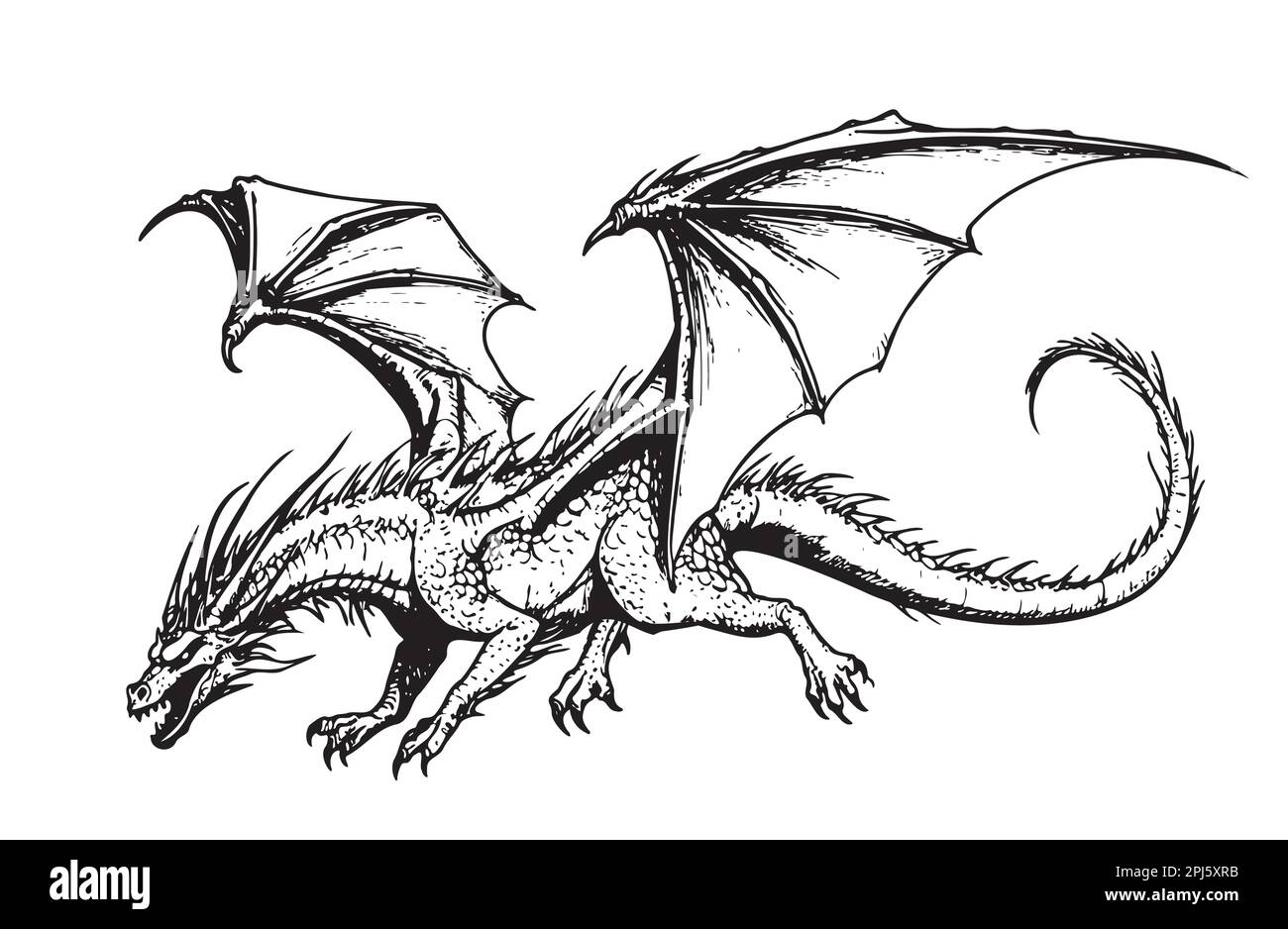 Fantasy dragon flying sketch illustration Myths and legends Stock Vector