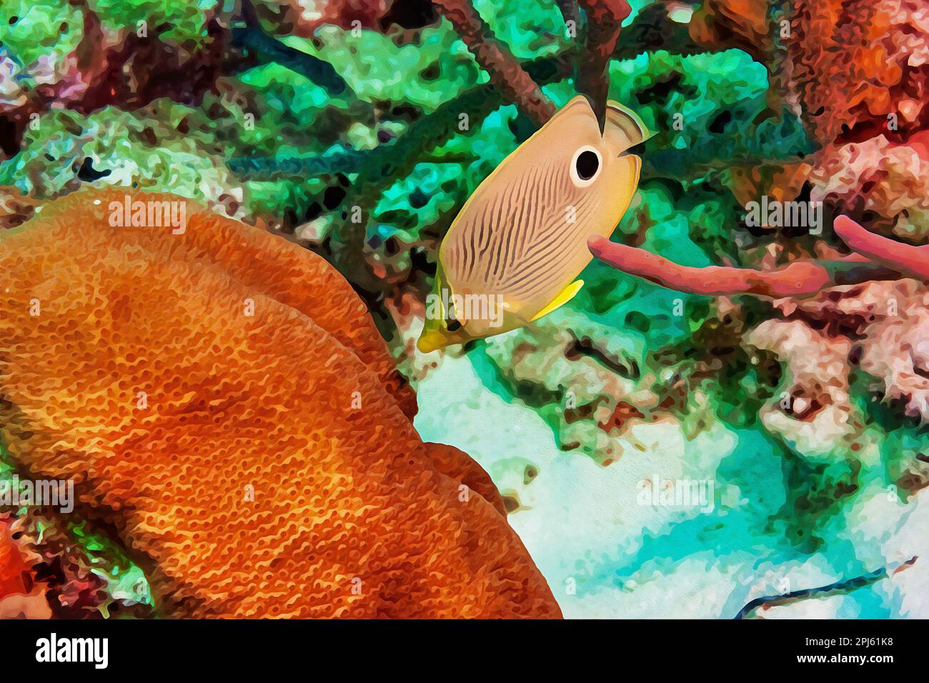 Digitally created watercolor painting of Foureye Butterflyfish Chaetodon capistratus feeding on the reef Stock Photo