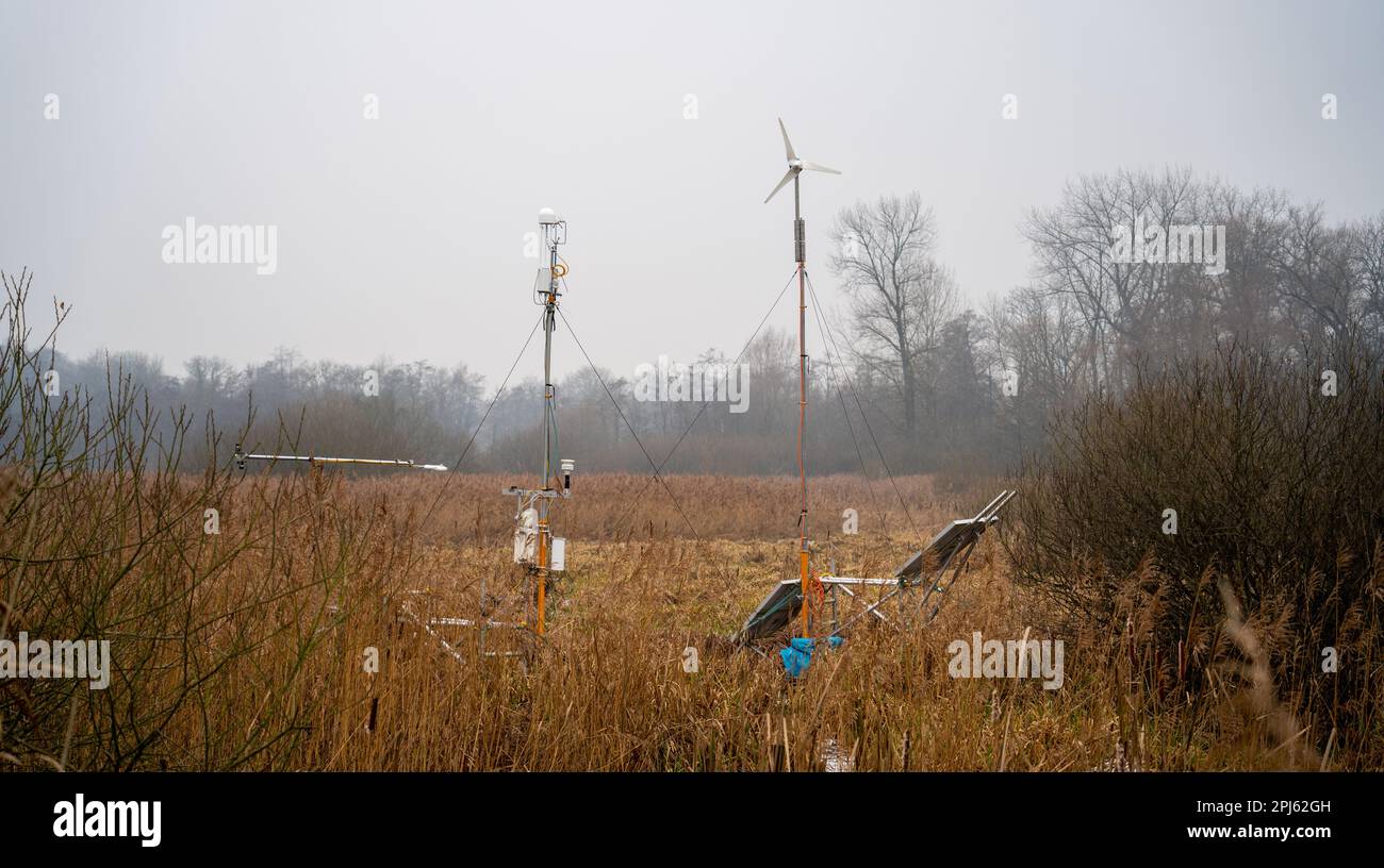 Scientific experiment to measure carbon emissions in a swamp area Stock Photo