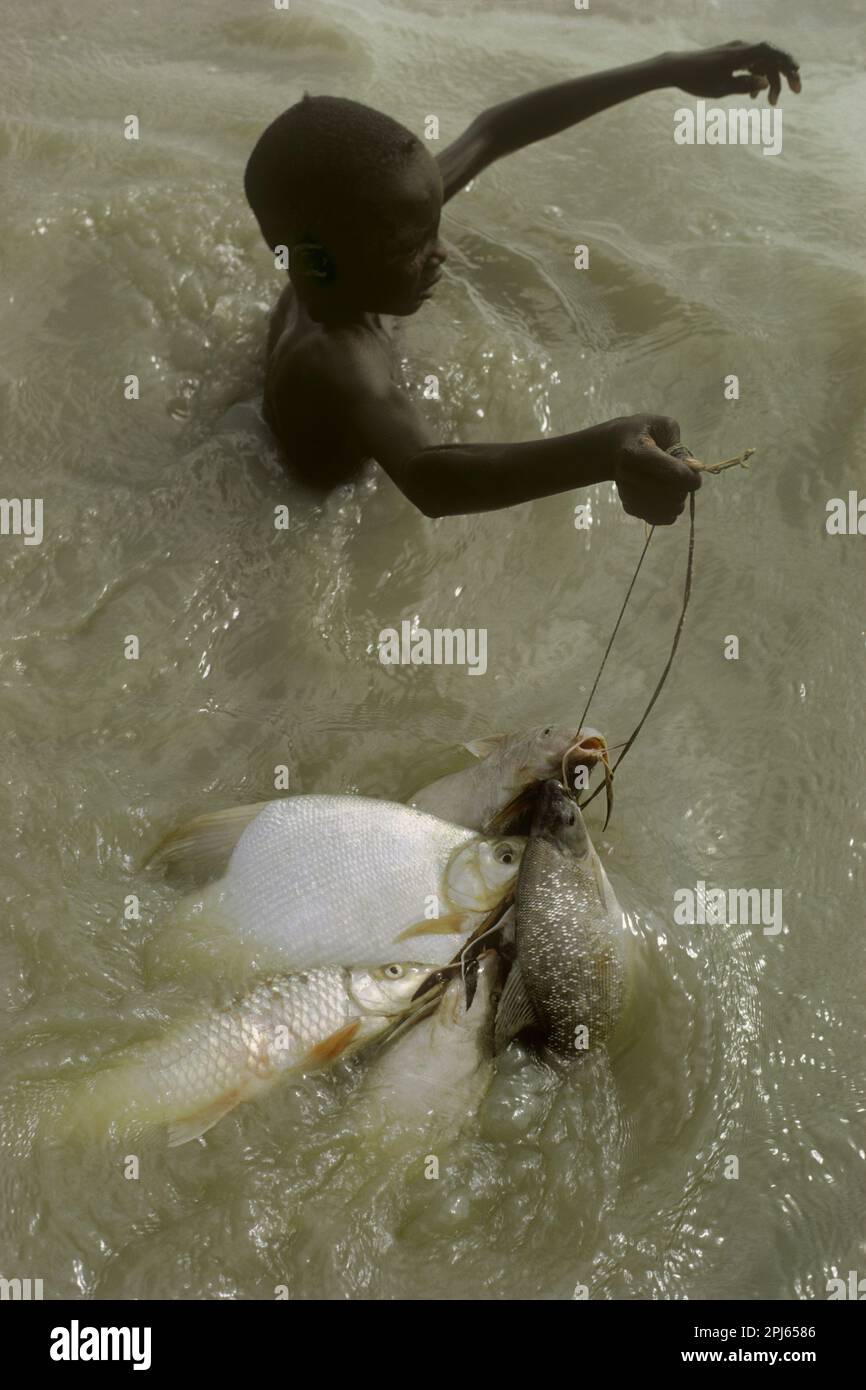 Africa, Chad, Islands of Lake Chad. Buduma boy carrying fish caught in nylon net in Lake Chad. Stock Photo