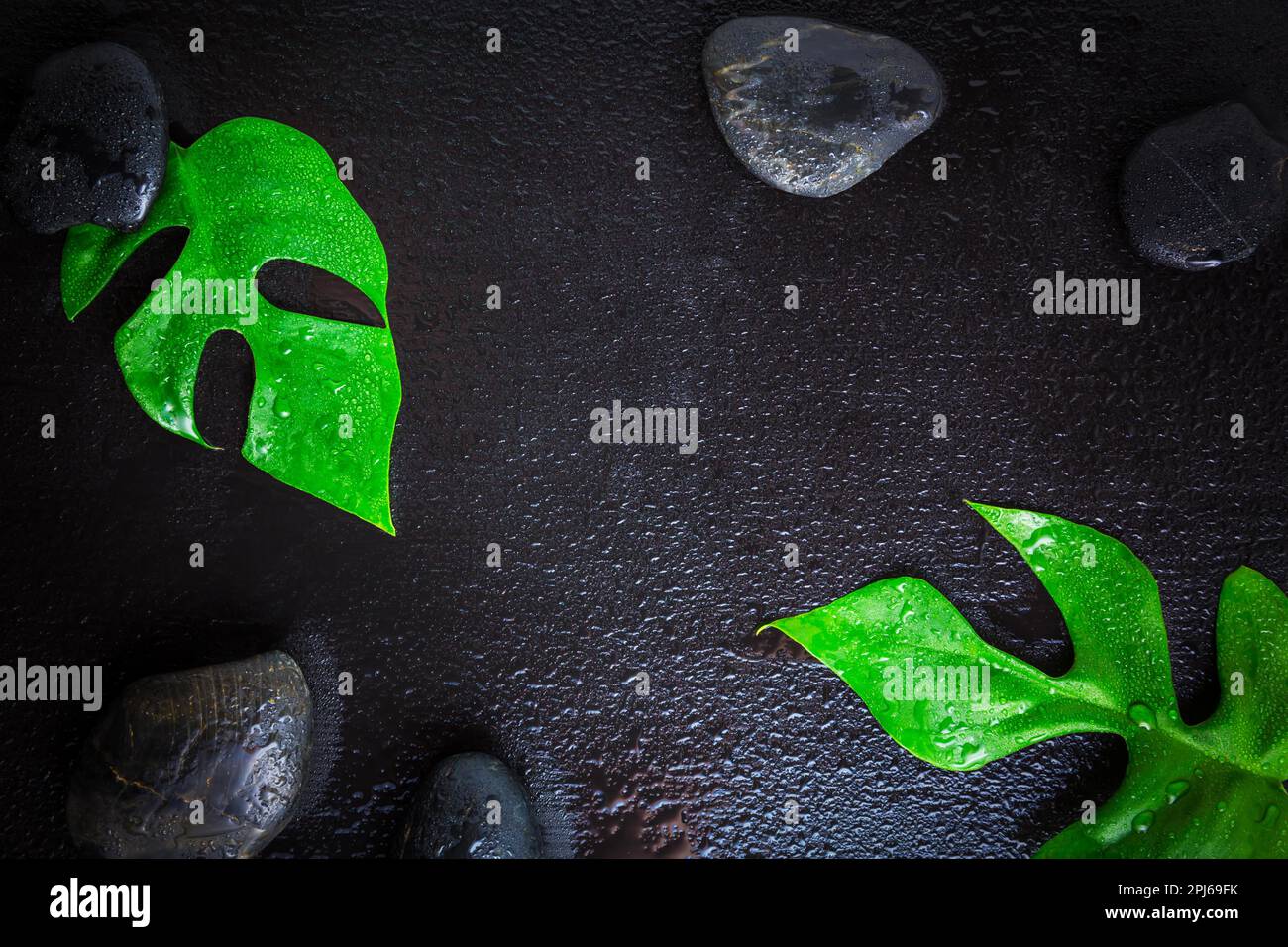 Flat lay composition with stones and monstera leaf on wet black background, space for text. Zen or spa concept Stock Photo