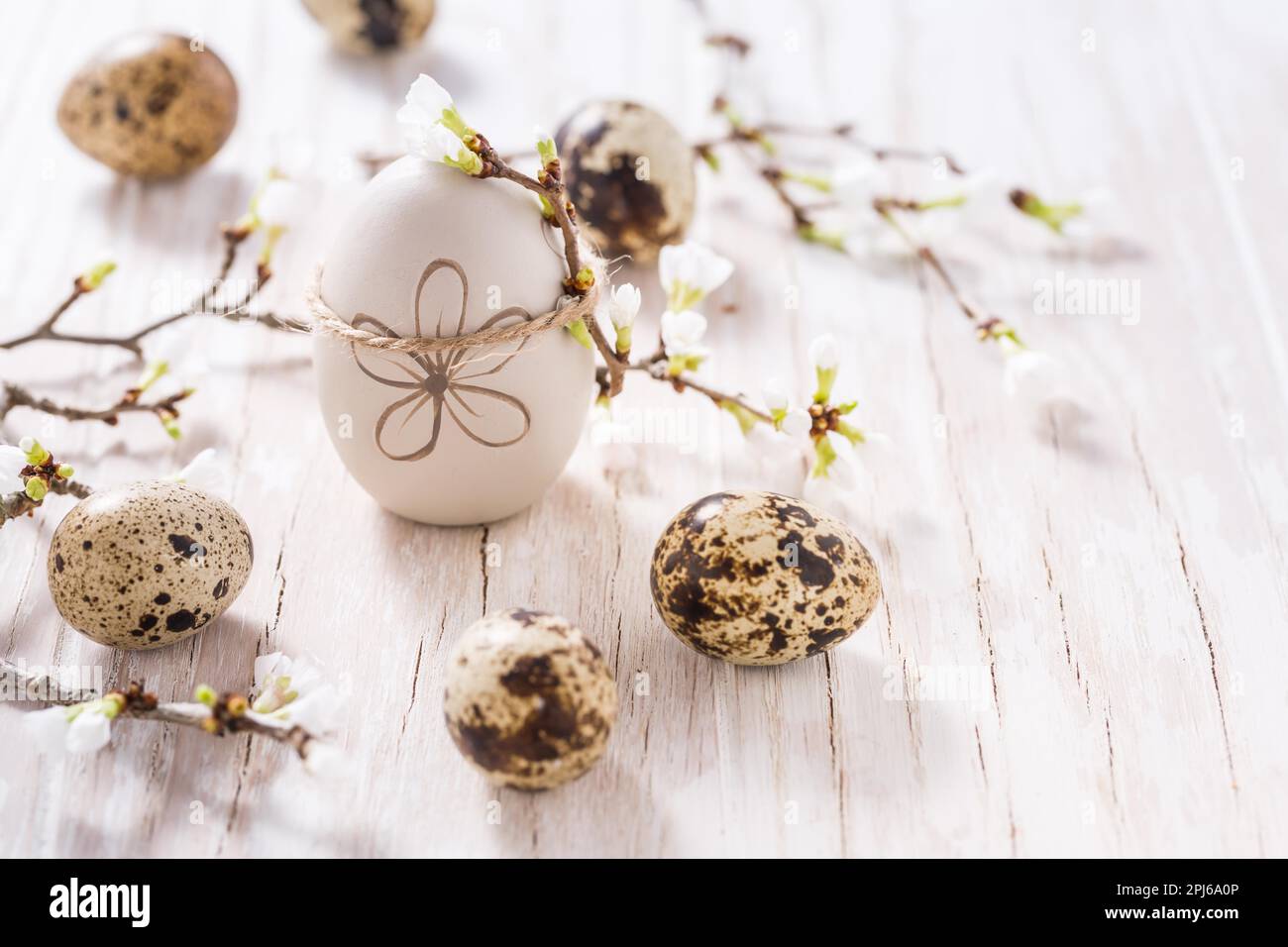 Easter eggs on with cherry branch. Easter decoration with copy space Stock Photo