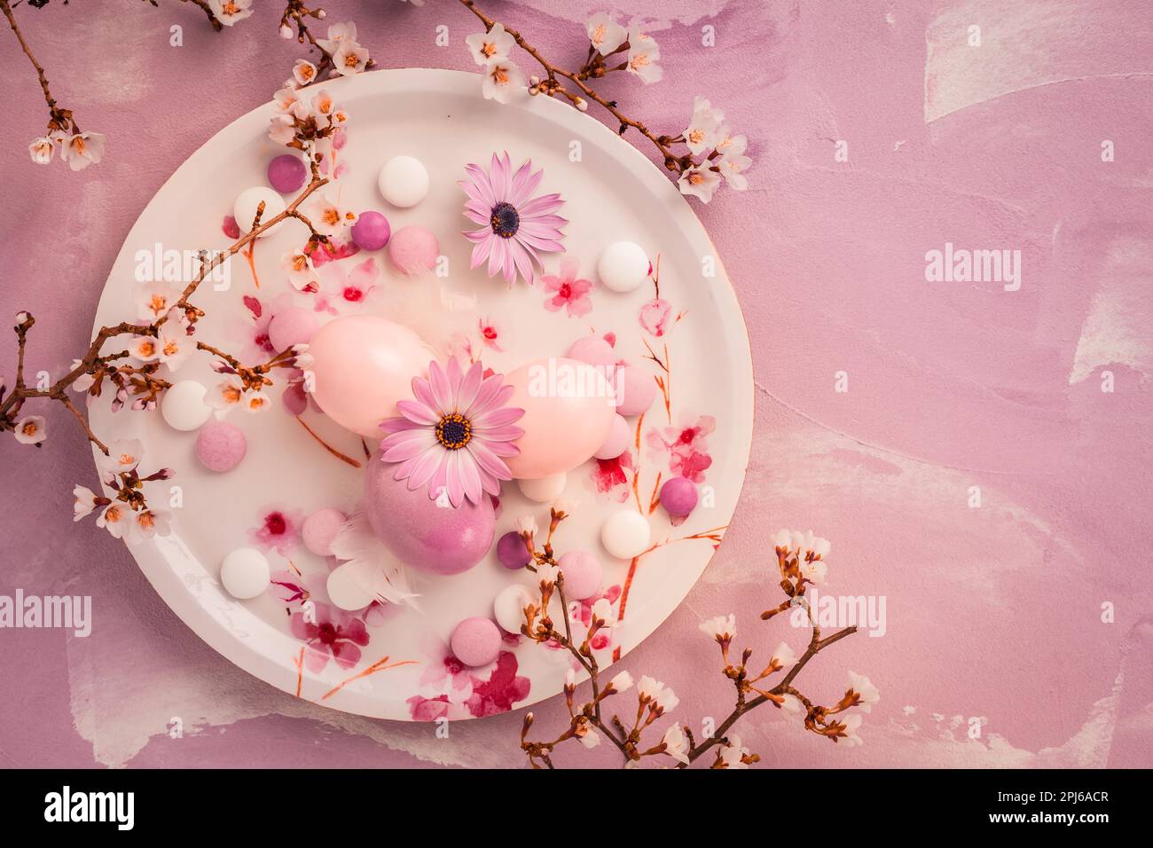 Pink Easter eggs with blooming branch, flowers and sweets for Easter and spring Stock Photo