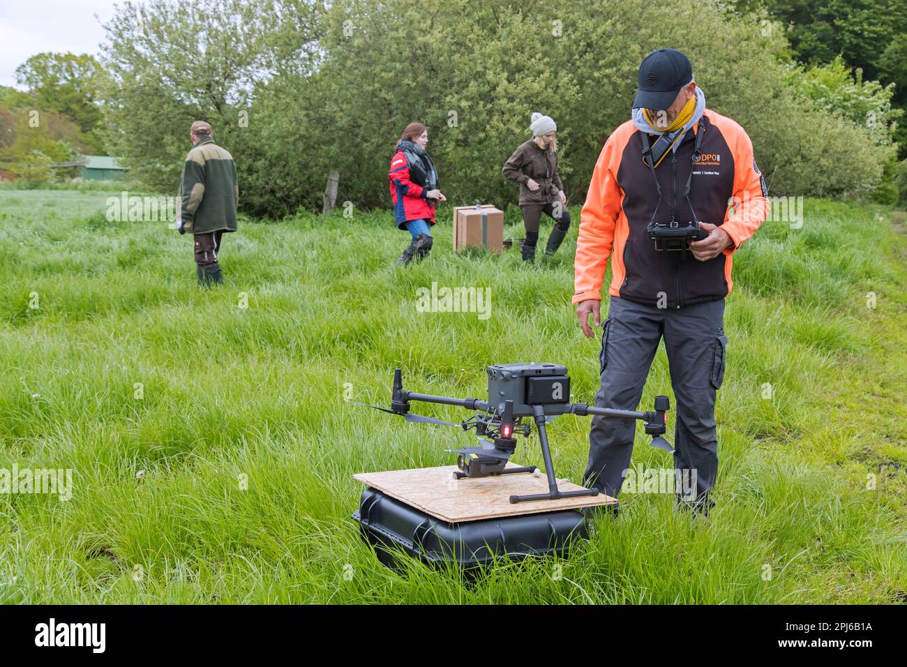 Rescue team operating professional drone to locate roe deer fawns hidden in grass with thermal imaging camera before mowing grassland in spring Stock Photo