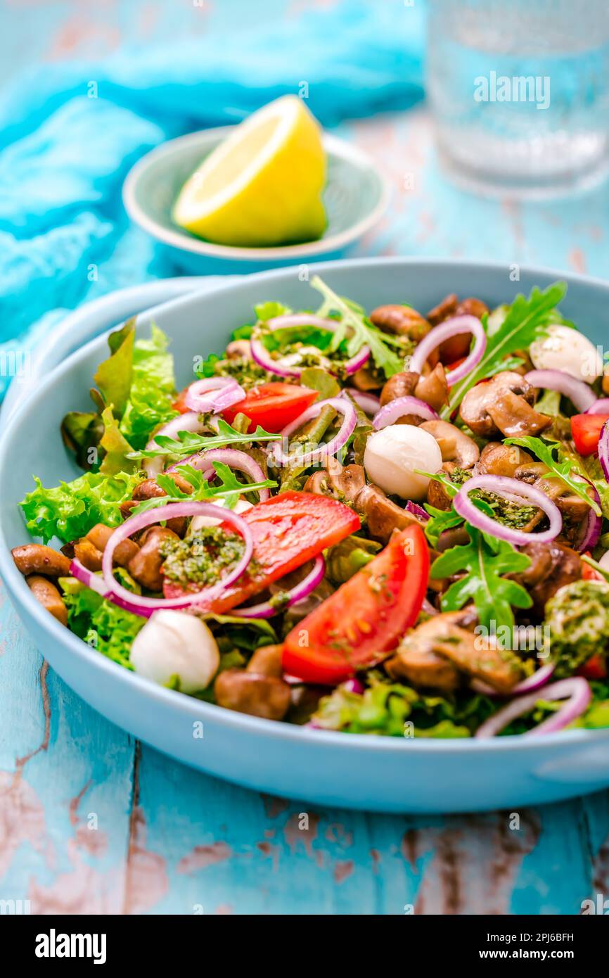 Vegetable salad with roasted champignons and mozzarella cheese with onions Stock Photo