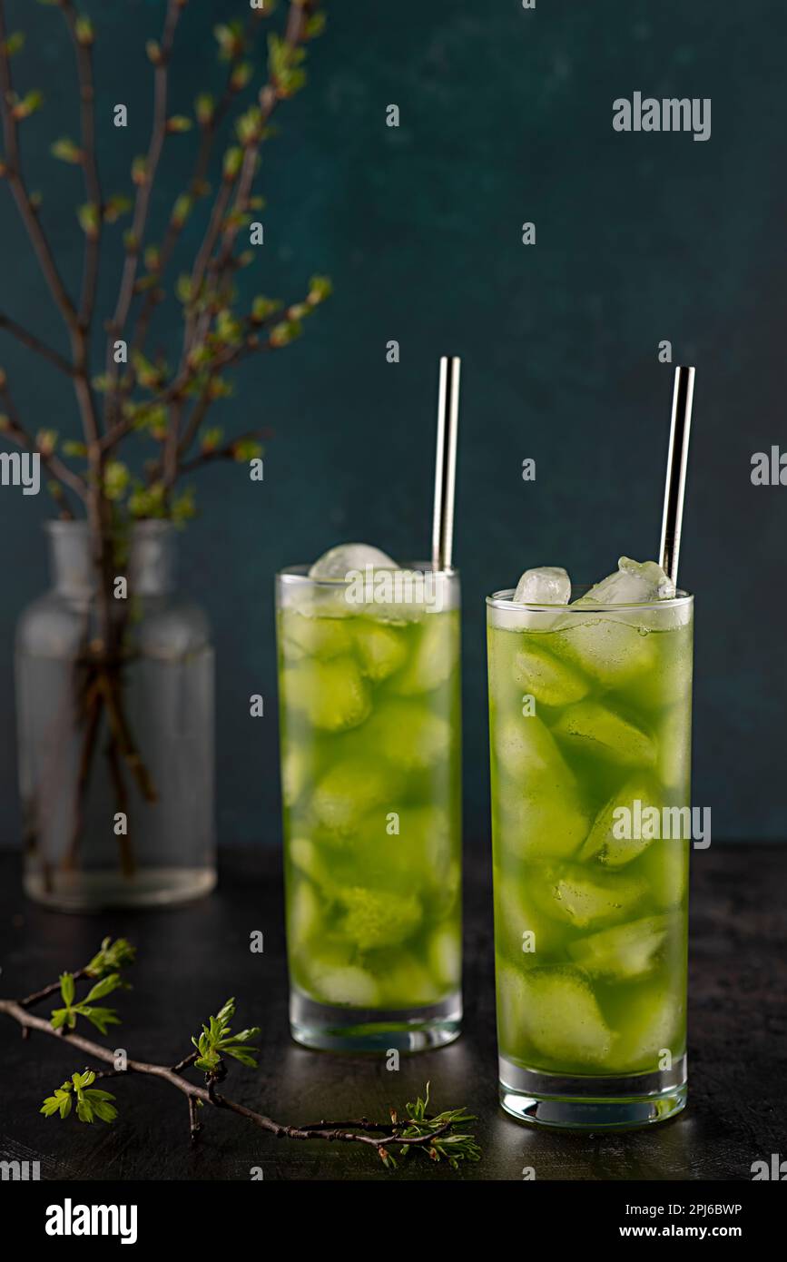 Photography of drink, juice, beverage, energy, detox, green, rustic, spring, branch, straw, raw, refreshing Stock Photo