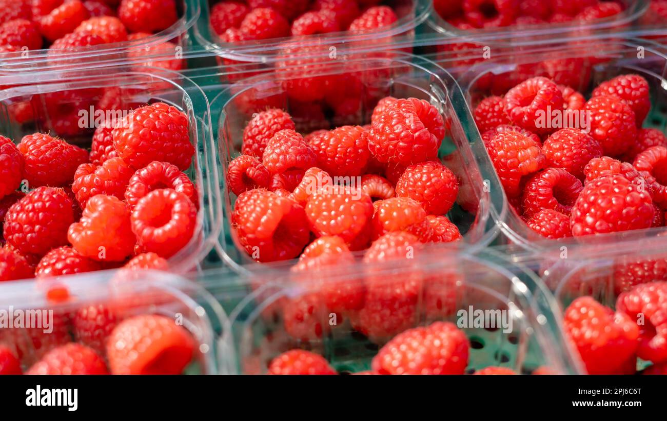 A variety of red raspberries organized in plastic containers Stock