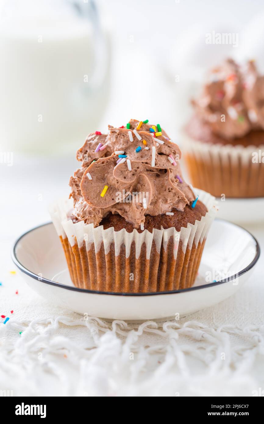 Homemade chocolate cupcakes with chocolate whipping cream Stock Photo