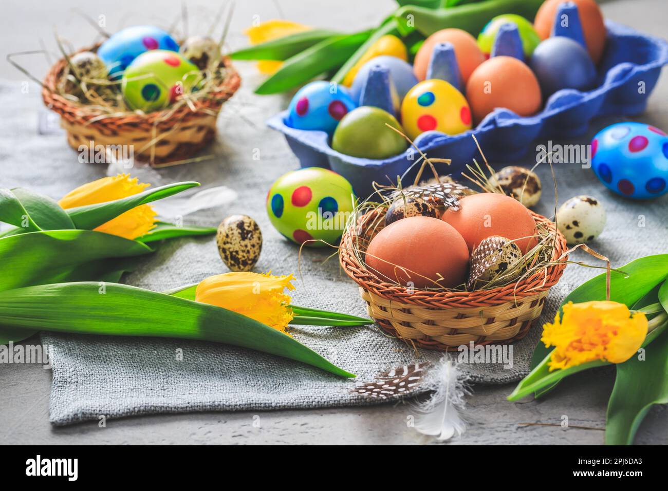 Spring time - Easter eggs and tulips on grey background Stock Photo