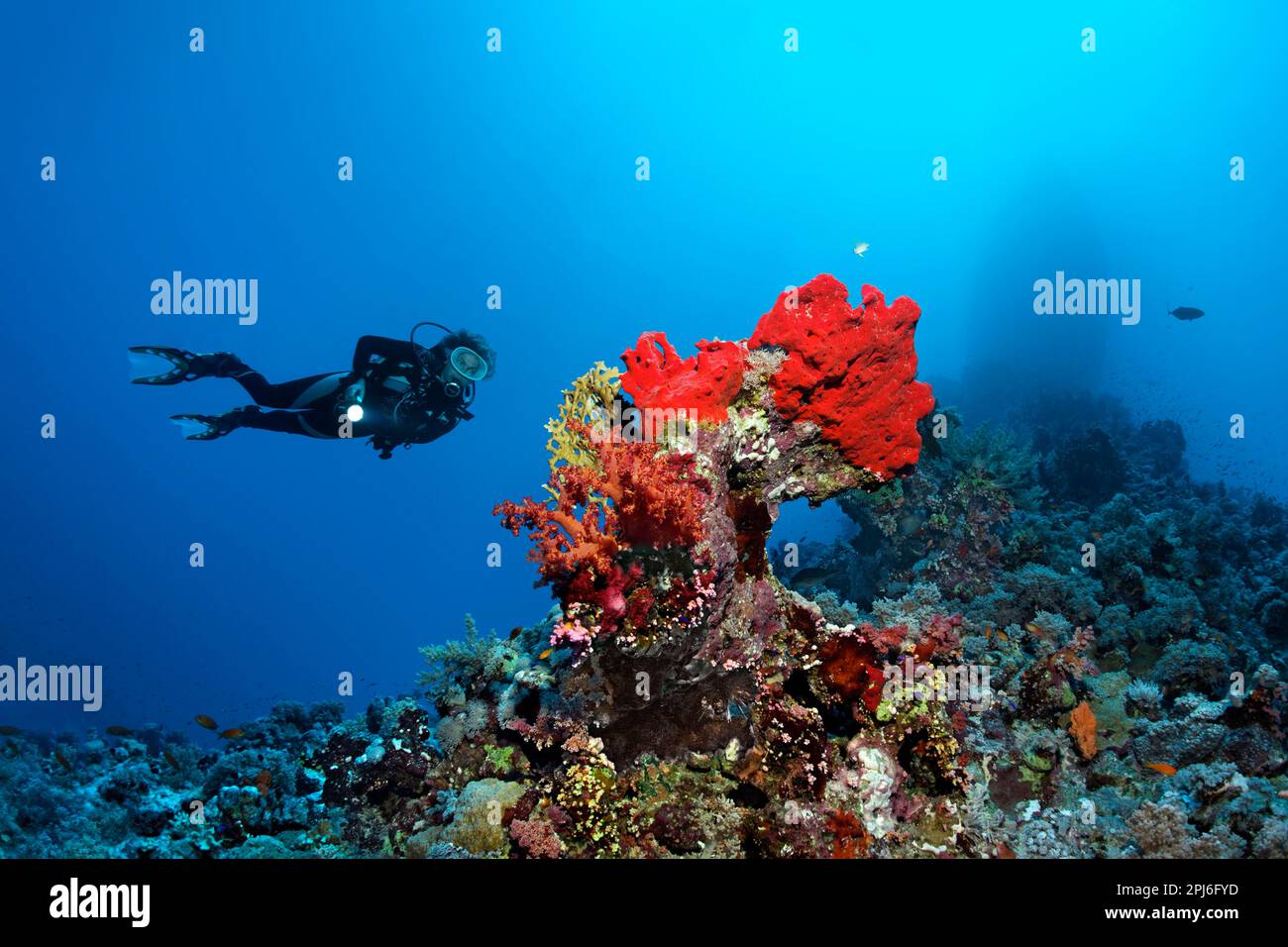 Female diver silhouette hi-res stock photography and images - Alamy