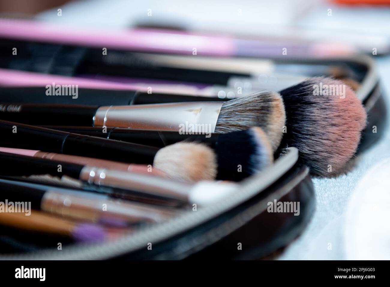 Brush Array An array of makeup brushes in a variety of styles and shapes on a flat ...