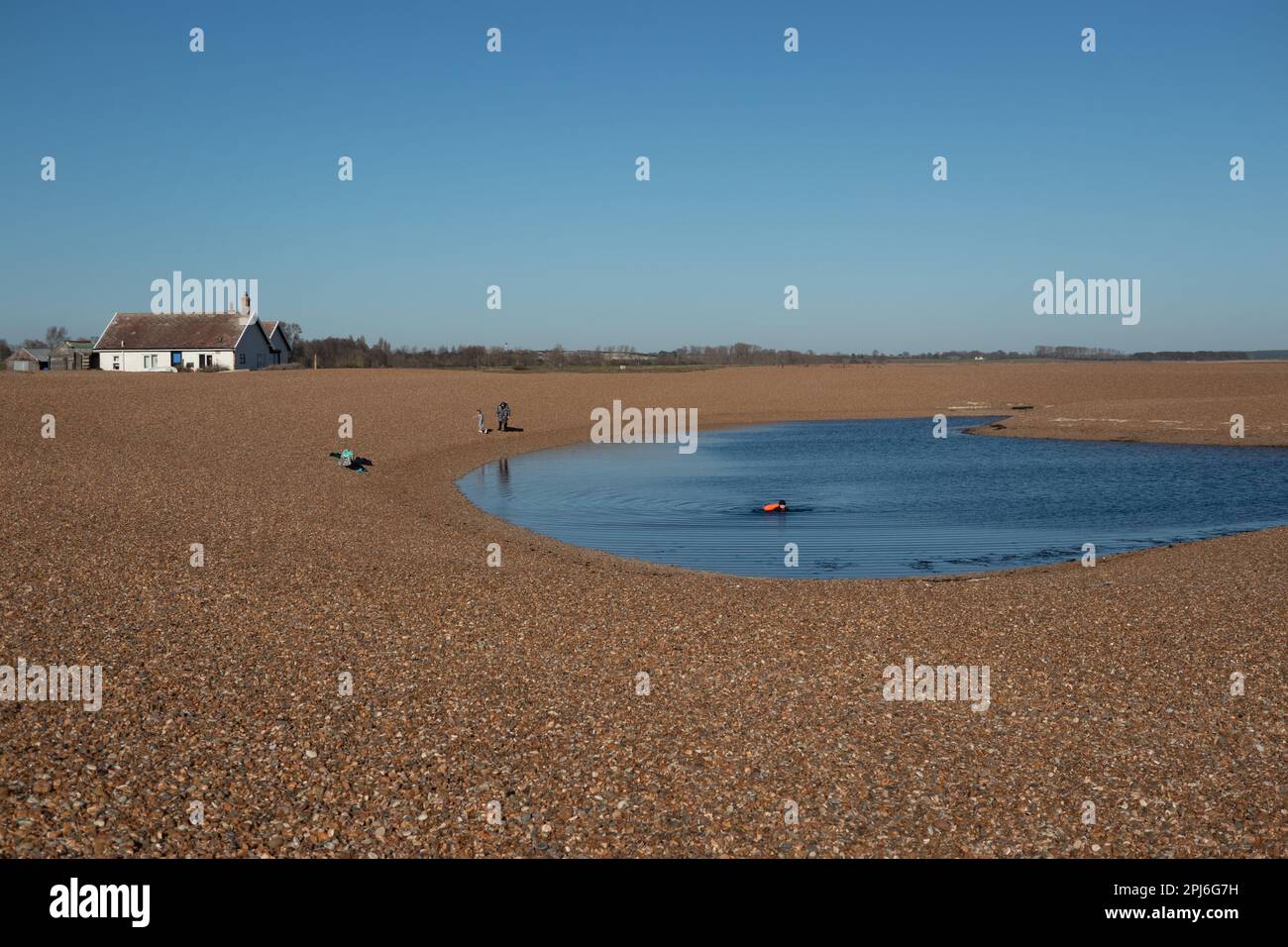Winter Wild swimming in lagoon at Shingle Street a remote beach and hamlet to the north of Felixstowe, known for it's shingle and pebble, Stock Photo