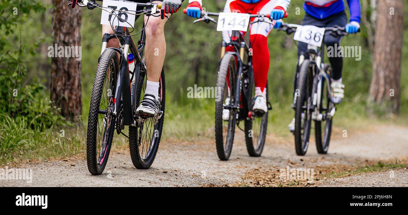 group athletes cyclists riding crosscountry cycling, forest trail