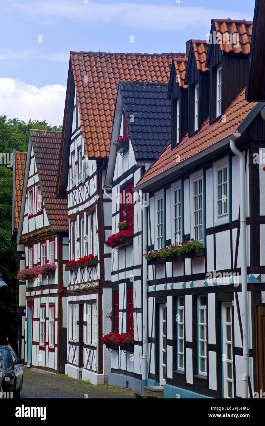 Historic halftimbered houses in the street Auf den Dielen, Paderborn