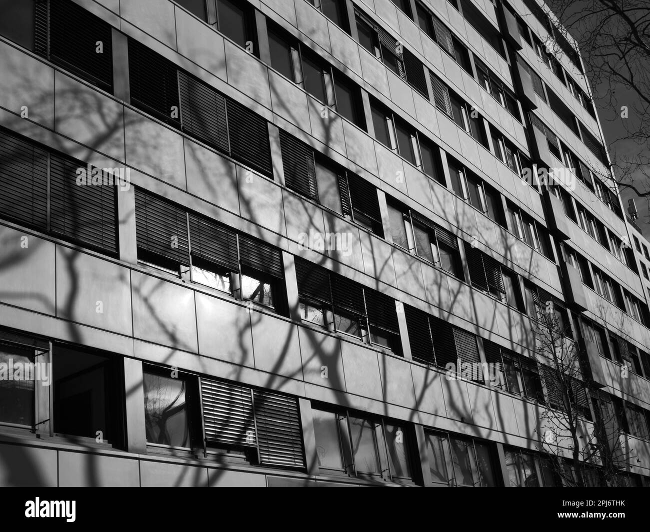 Exterior view of a façade of an office building with the shadows of the branches reflected in the window Stock Photo