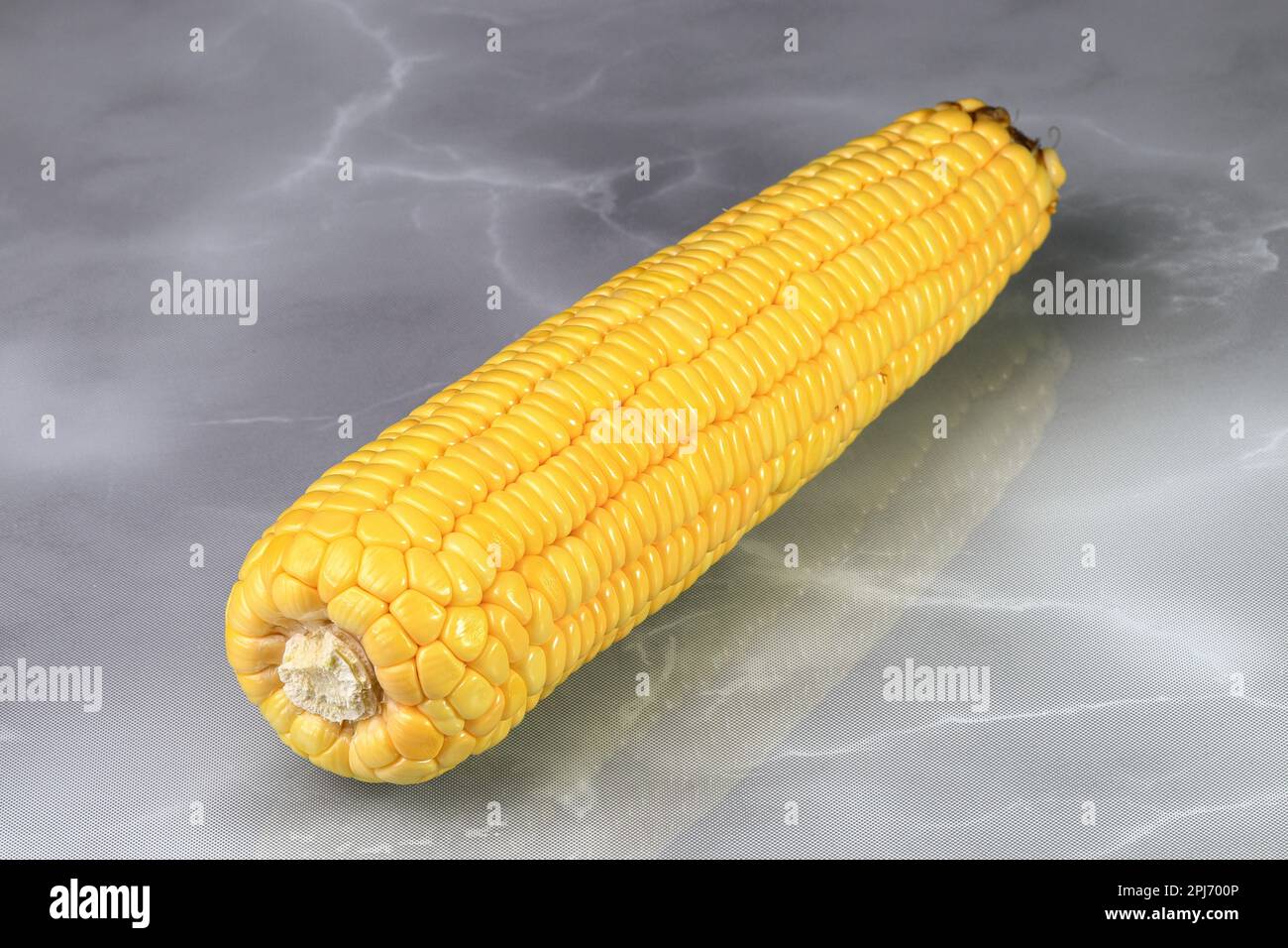 Fresh raw Corncobs or corn ears with green leaves isolated on reflection surface. Stock Photo
