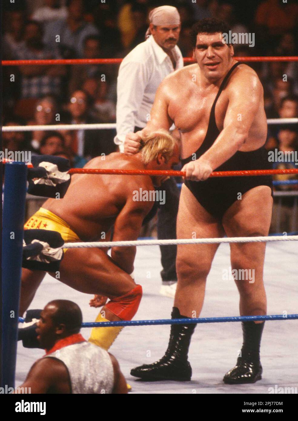 1990 Hulk Hogan Andre the Giant Photo by John Barrett/PHOTOlink Stock ...