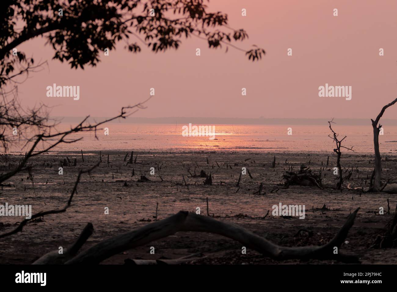 Sunset at Kotka sea beach.this photo was taken from Sundarbans National Park,Bangladesh. Stock Photo