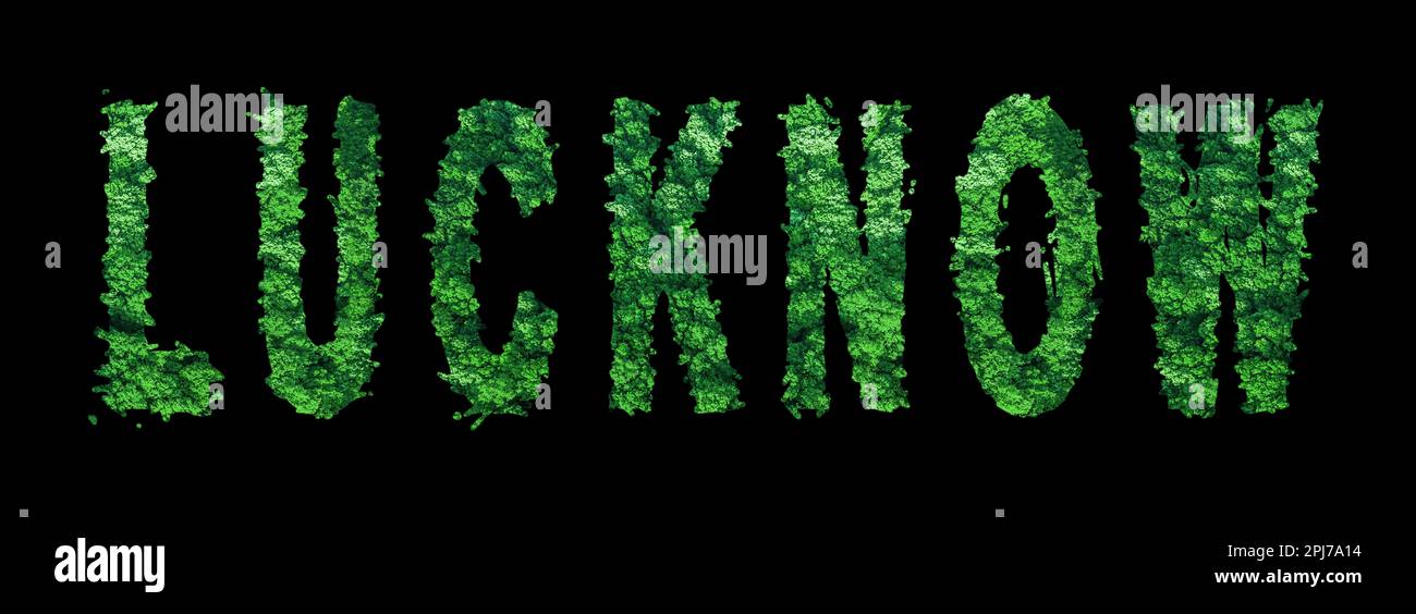Lucknow Lettering Lucknow stamp hi-res stock photography and images - Alamy