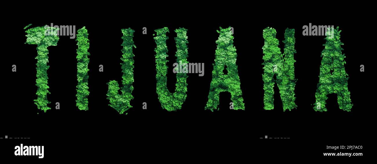 Tijuana Lettering Tijuana forest hi-res stock photography and images - Alamy
