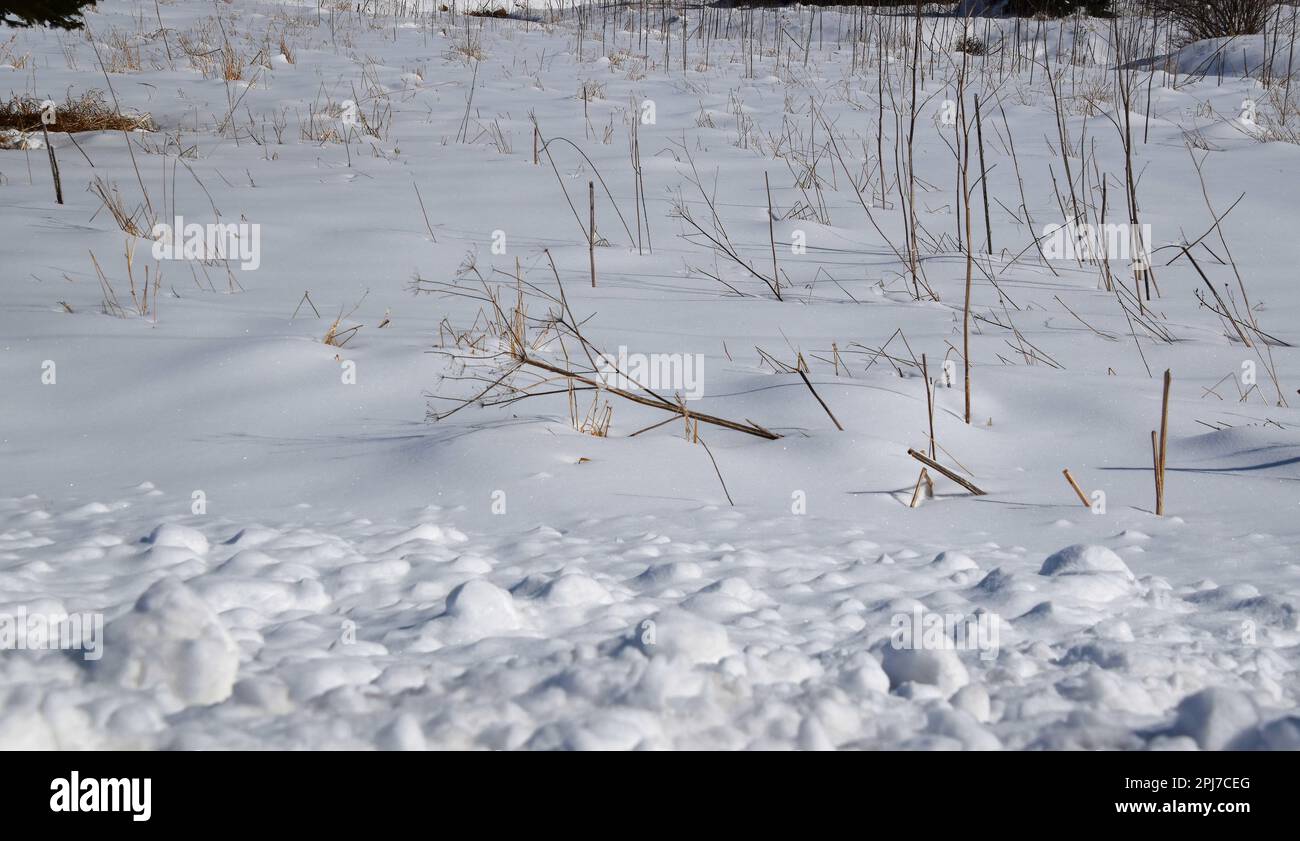 Wintery landscape of freshly fallen snow the day after a snow storm in