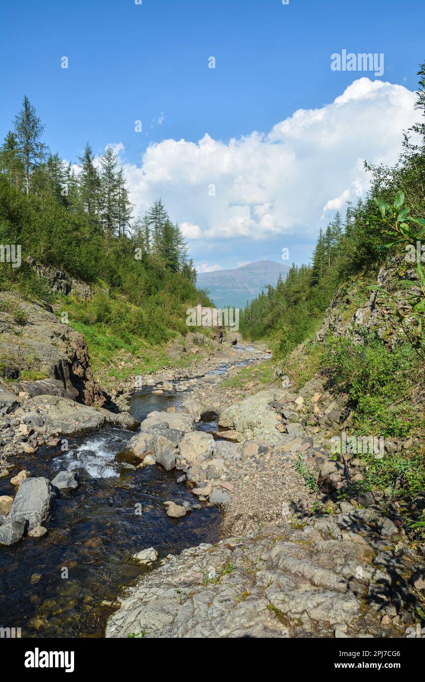 Putorana Plateau, a waterfall on the Grayling Stream. Mountain stream on a  cloudy day Stock Photo - Alamy