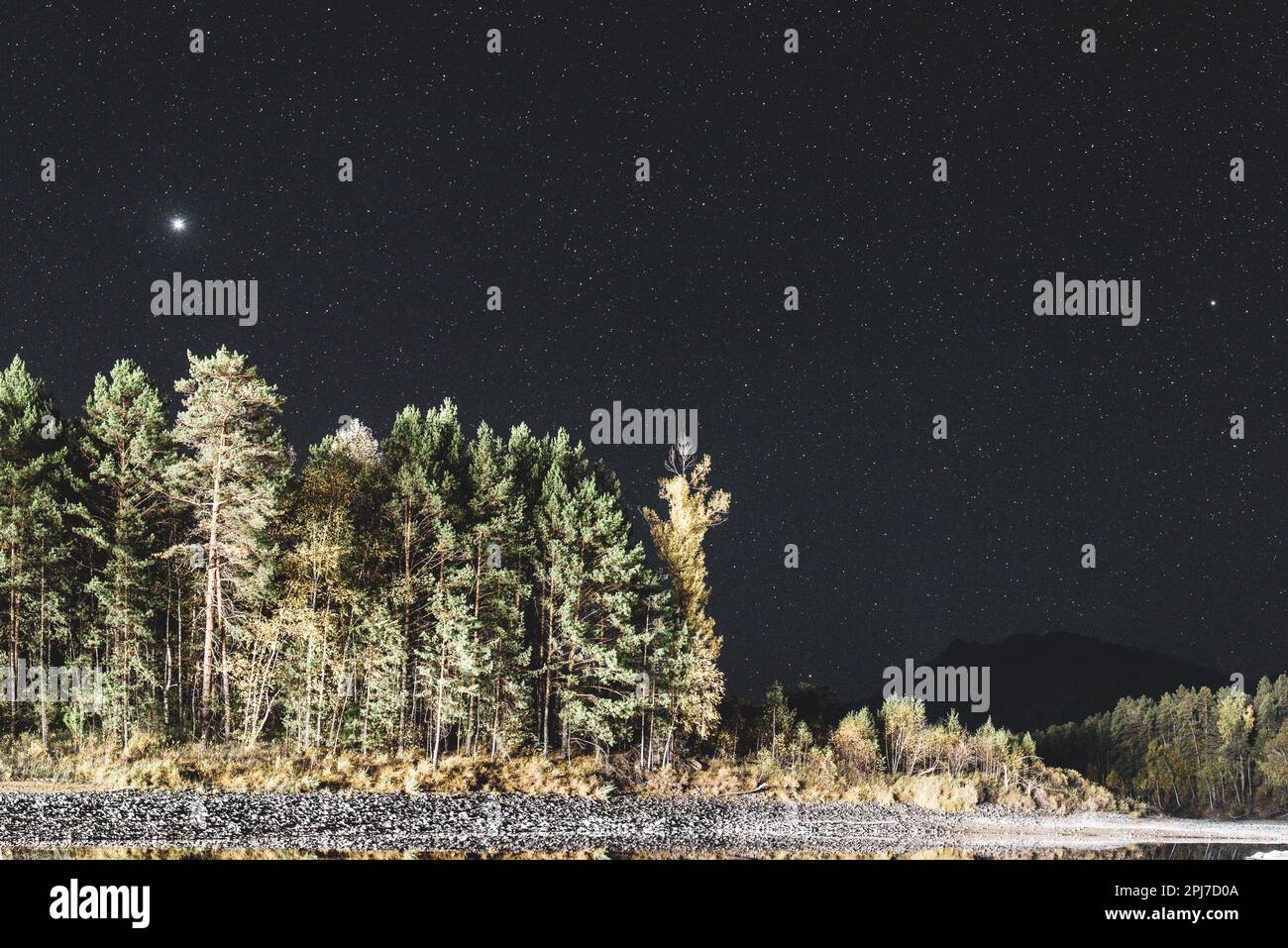 Sirius star over an illuminated river with a stone bank reflection of trees and a silhouette of a mountain in the dark at night in the Altai Stock Photo