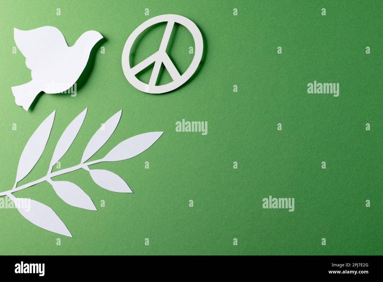 Close up of white dove and peace sign with leaves and copy space on ...