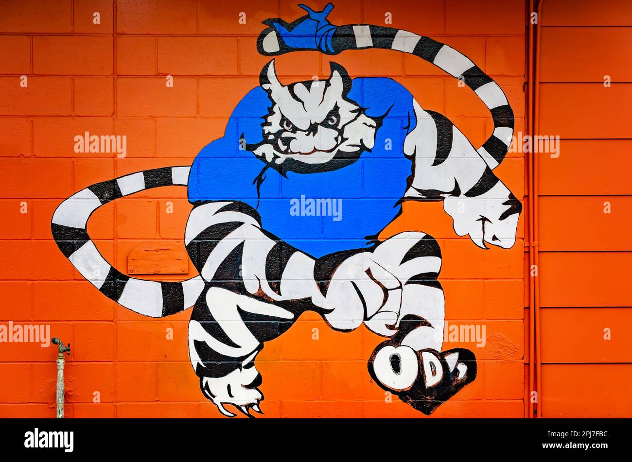 The Stone High School mascot is painted on the wall at Frosty Mug, March 29, 2023, in Wiggins, Mississippi. The high school’s mascot is the tomcat. Stock Photo