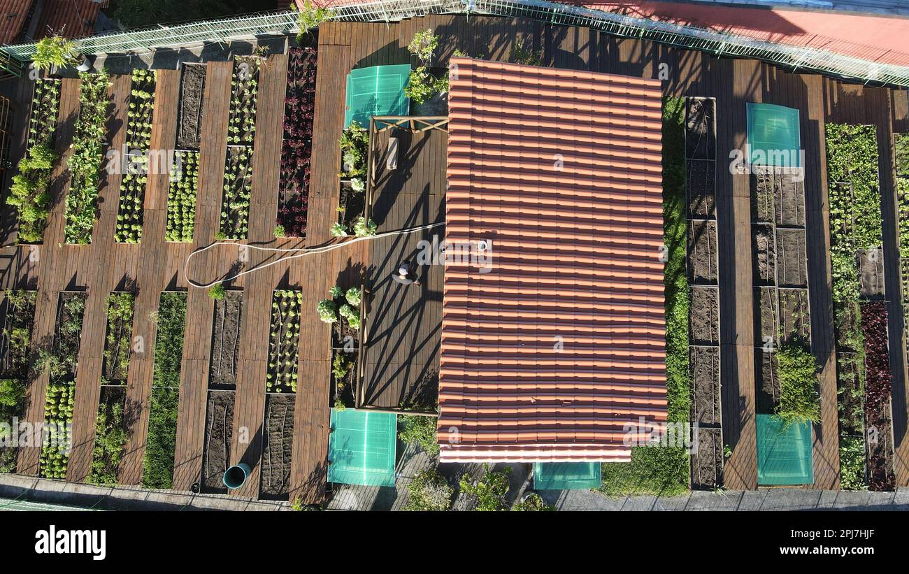 Recife, Brazil. 31st Mar, 2023. governmental organization that works in