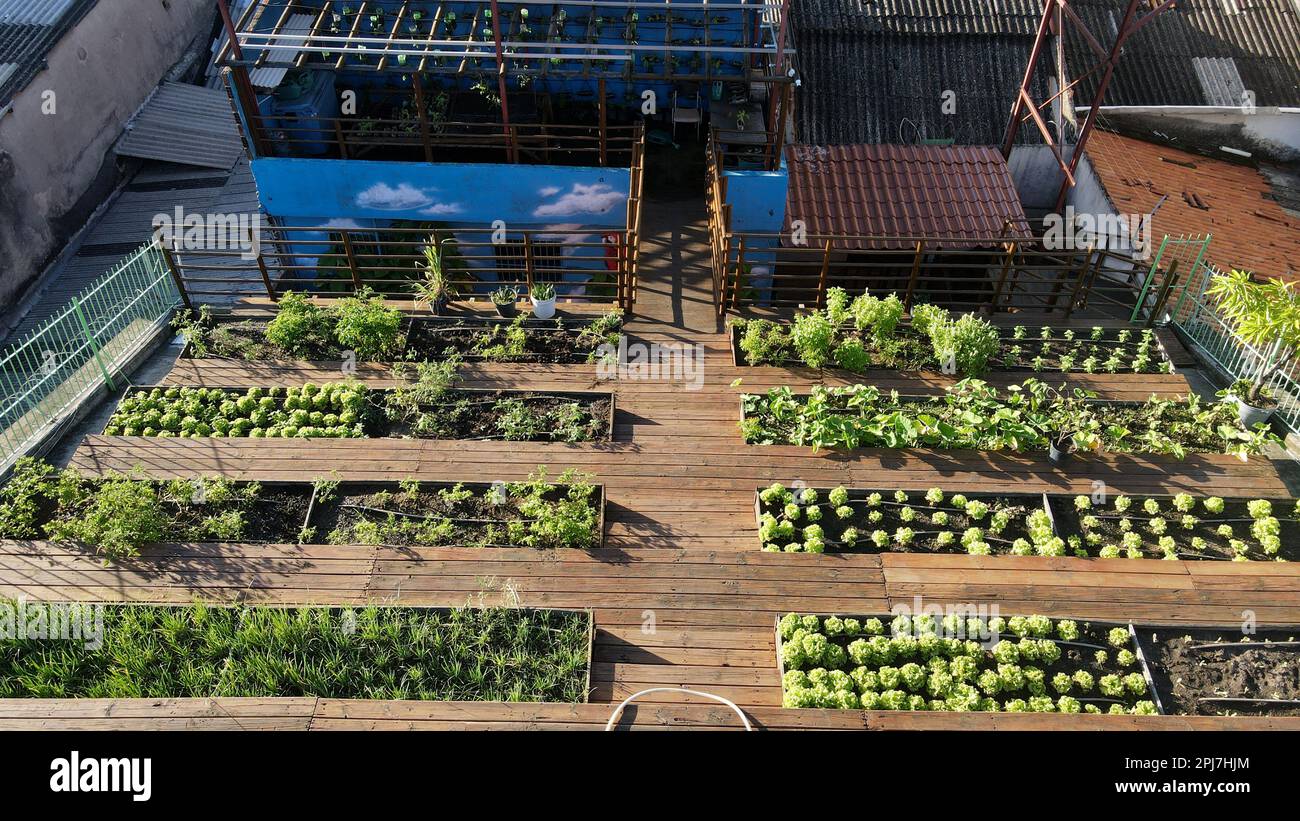 Recife, Brazil. 31st Mar, 2023. governmental organization that works in