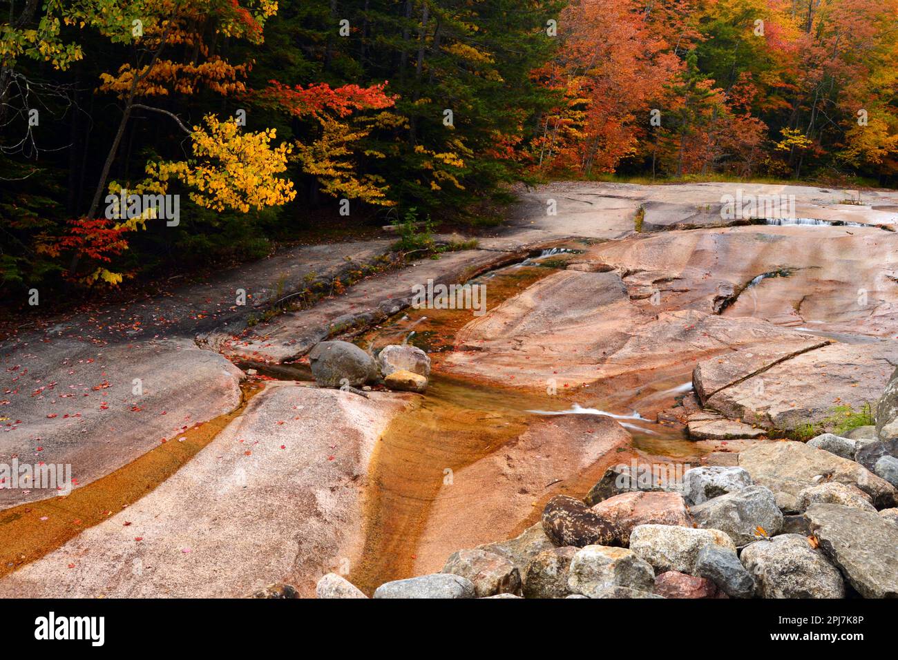 A small stream runs along brilliant fall foliage in New England Stock Photo