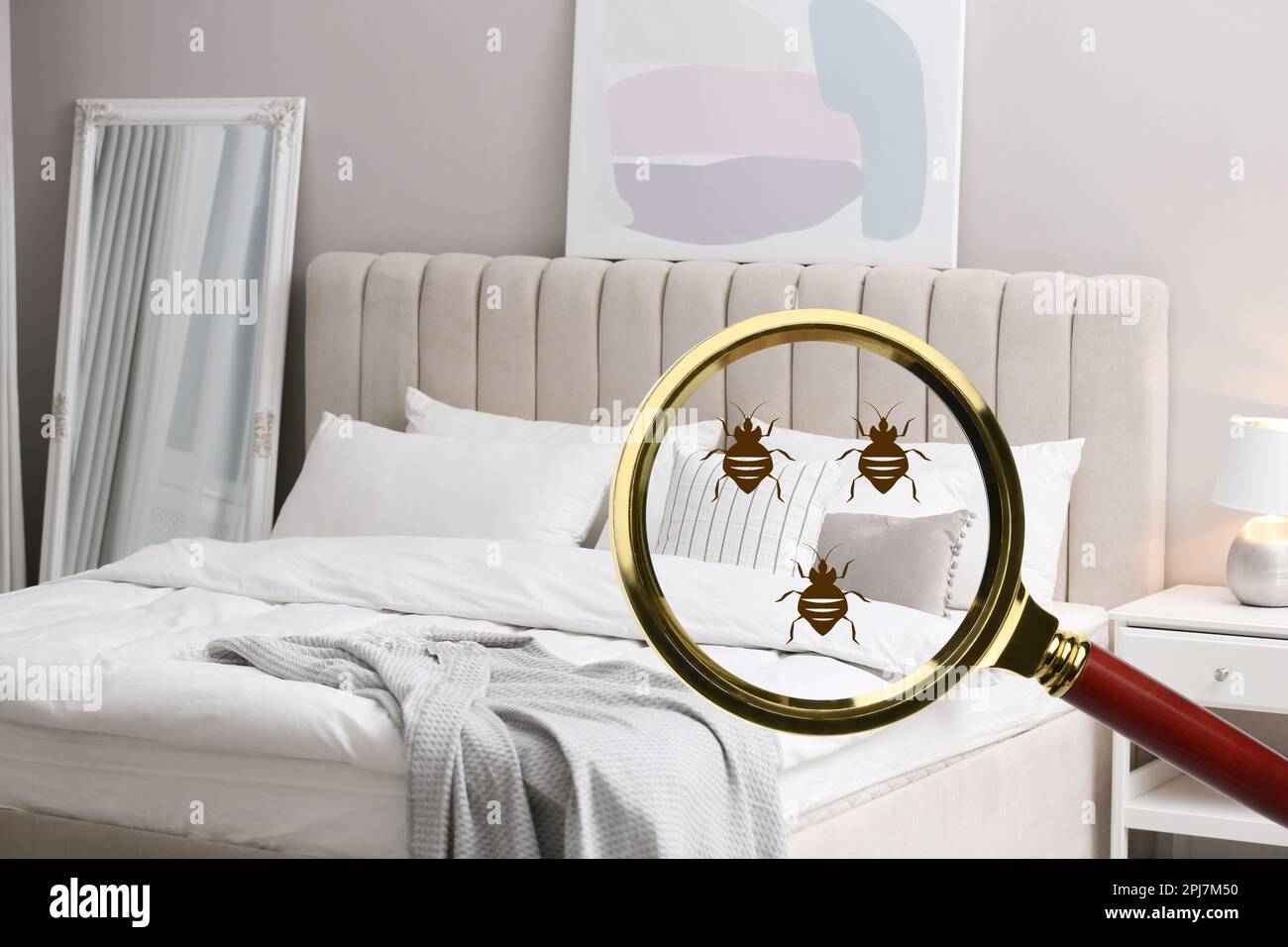 Magnifying glass detecting bed bugs in bedroom, closeup view Stock