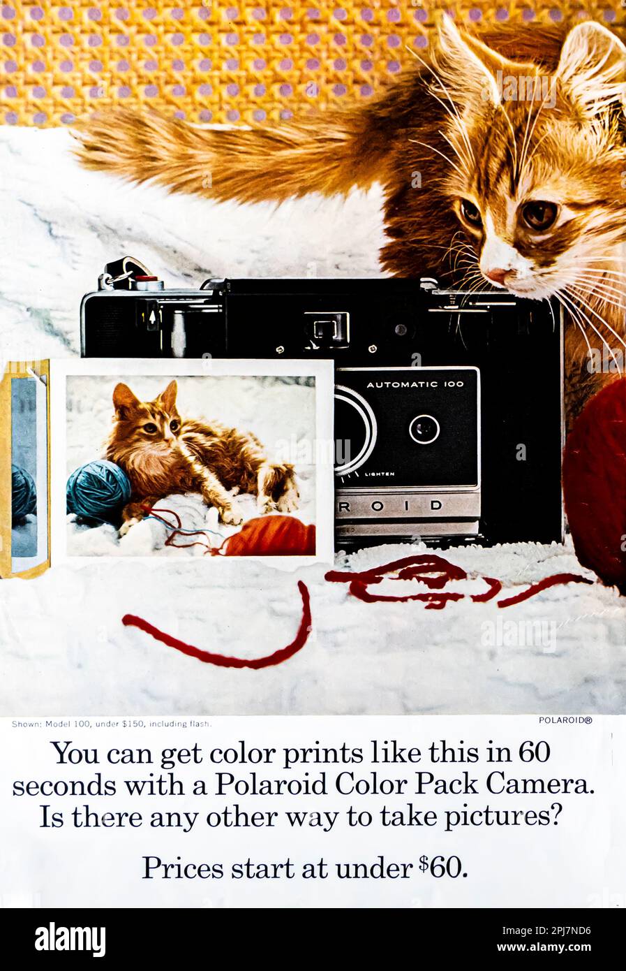 Polaroid color pack camera advert in a Natgeo magazine, 1966 Stock Photo