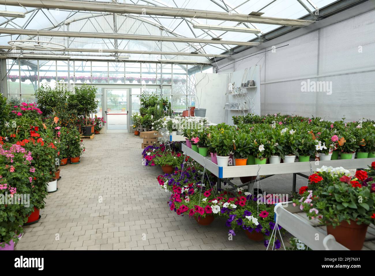 Potted plants in garden hi-res stock photography and images - Alamy