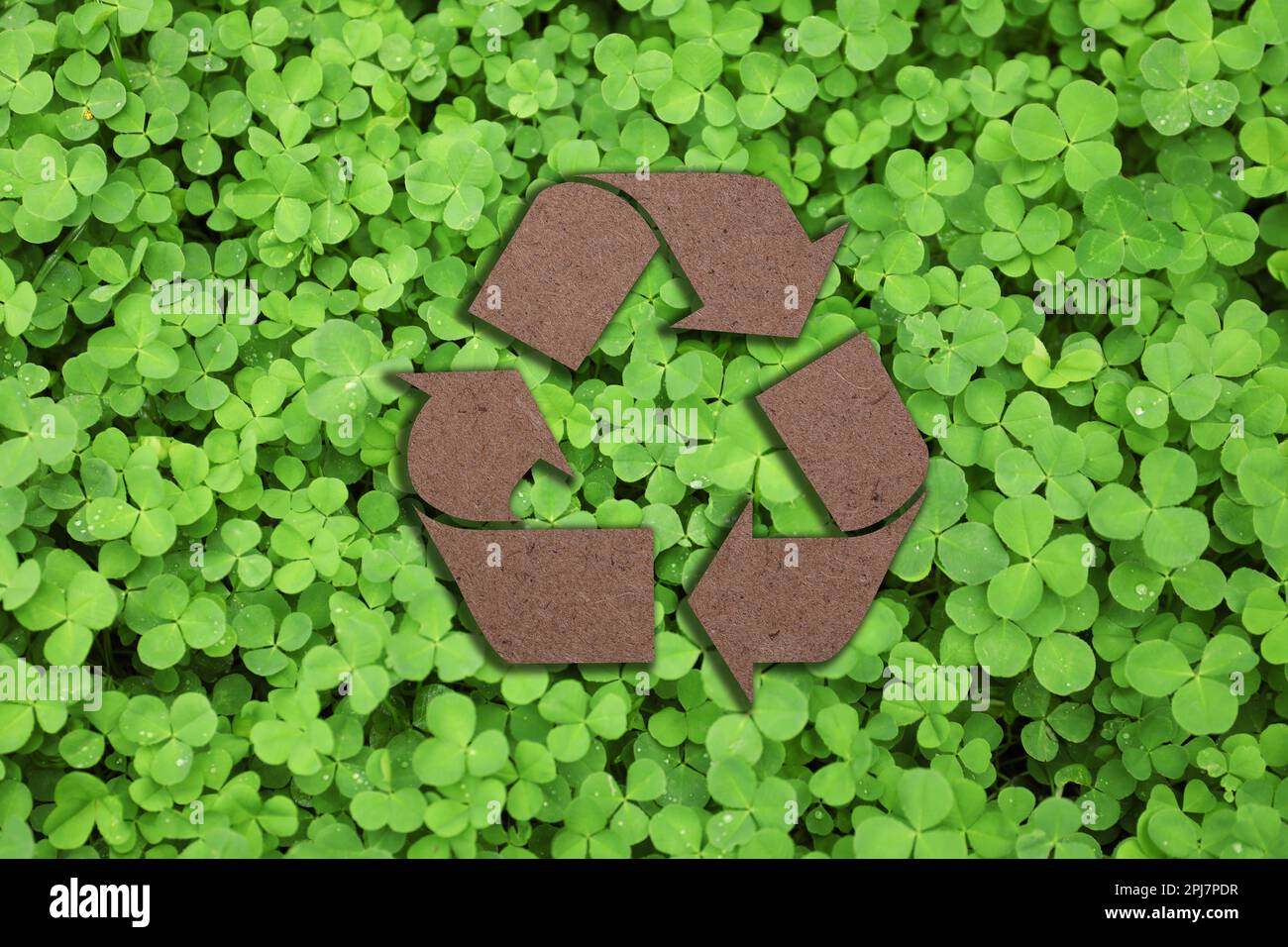 Recycling symbol cut out of kraft paper and fresh green leaves on ...