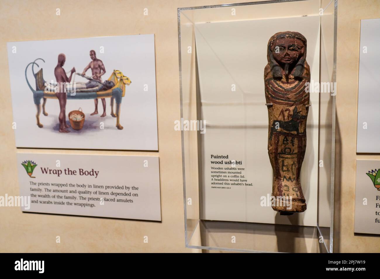 Denver, Colorado, United States - 3.22.2023: Denver Museum of Nature and Science, Egyptian exhibition Stock Photo