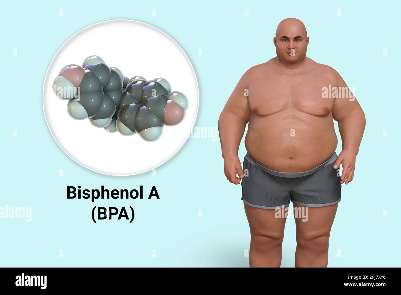 Link between plastics and obesity, conceptual illustration Stock Photo