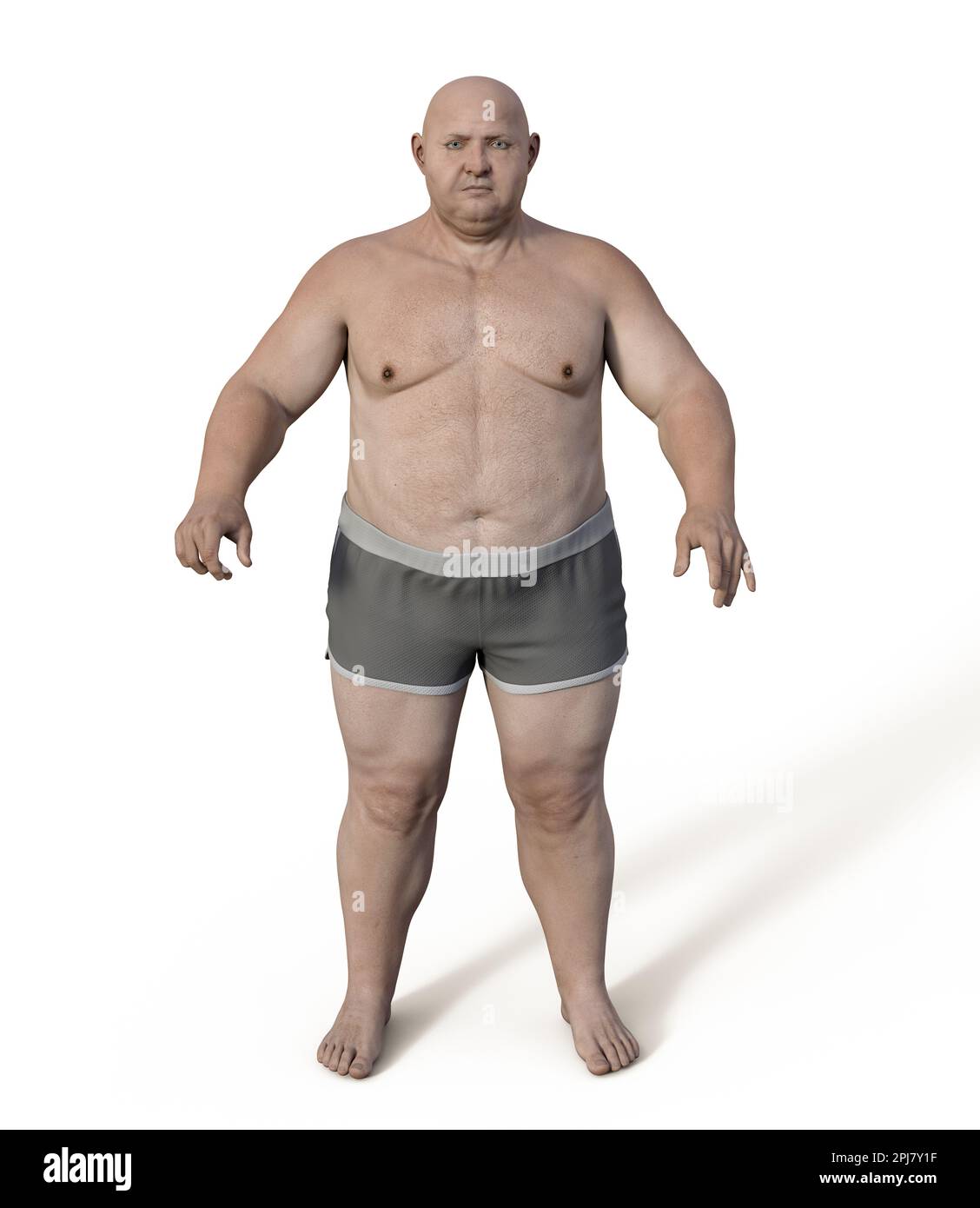 Obese man standing, illustration Stock Photo
