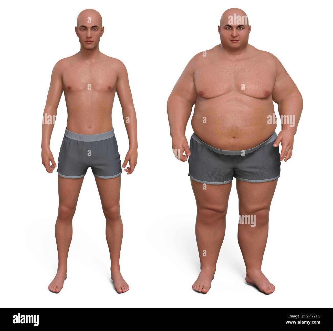 Man before and after gaining weight, illustration Stock Photo