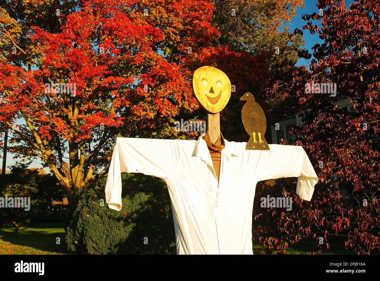 A whimsical scarecrow brings humor to a fall scene Stock Photo - Alamy
