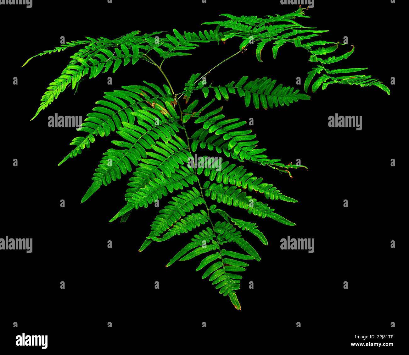Visual glow hi-res stock photography and images - Alamy