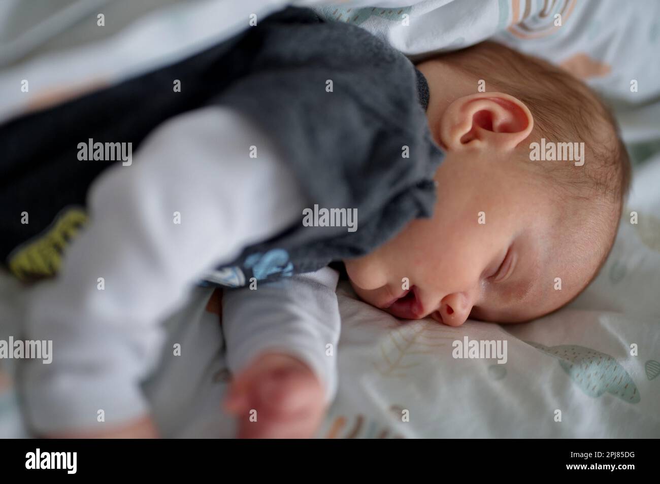 Portrait of cute newborn baby sleeping in bed Stock Photo Alamy